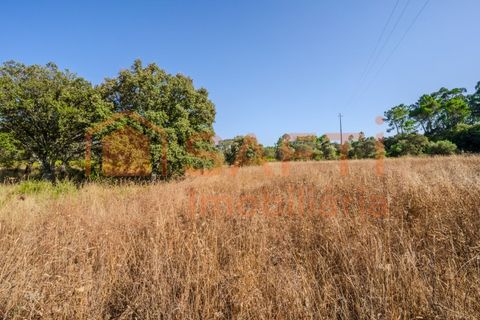 Helårsgrund i Fatima, Santarem, Fatima - € 150.000 | Ref: SAFTI:007221 - foto 8