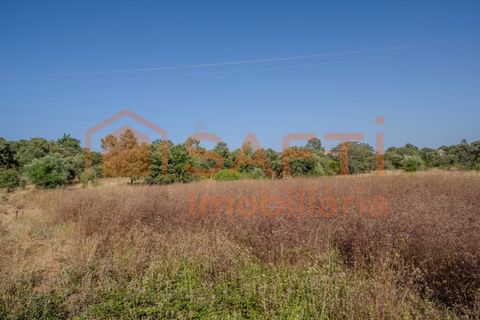 Helårsgrund i Fatima, Santarem, Fatima - € 150.000 | Ref: SAFTI:007221 - foto 9