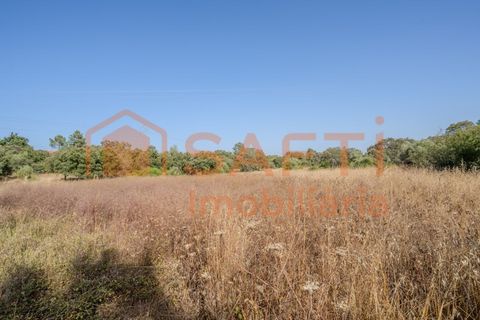 Helårsgrund i Fatima, Santarem, Fatima - € 150.000 | Ref: SAFTI:007221 - foto 10