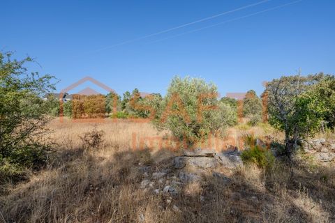 Helårsgrund i Fatima, Santarem, Fatima - € 150.000 | Ref: SAFTI:007221 - foto 12