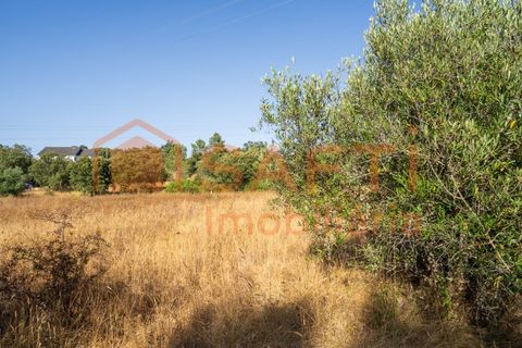 Helårsgrund i Fatima, Santarem, Fatima - € 150.000 | Ref: SAFTI:007221 - foto 14