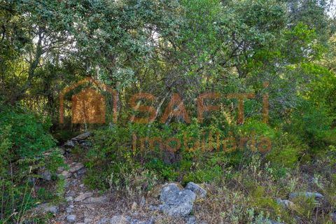 Helårsgrund i Fatima, Santarem, Fatima - € 150.000 | Ref: SAFTI:007221 - foto 15