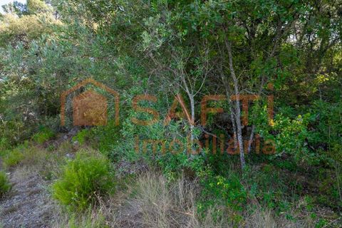Helårsgrund i Fatima, Santarem, Fatima - € 150.000 | Ref: SAFTI:007221 - foto 16
