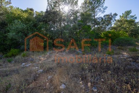 Helårsgrund i Fatima, Santarem, Fatima - € 150.000 | Ref: SAFTI:007221 - foto 18