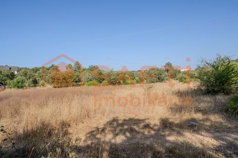 Helårsgrund i Fatima, Santarem, Fatima - € 150.000 | Ref: SAFTI:007221 - foto 19