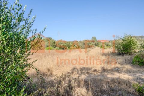 Helårsgrund i Fatima, Santarem, Fatima - € 150.000 | Ref: SAFTI:007221 - foto 21