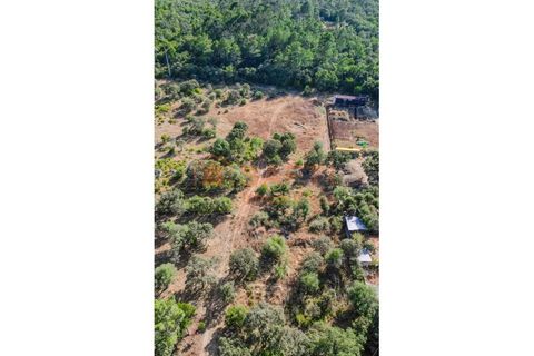 Helårsgrund i Fatima, Santarem, Fatima - € 150.000 | Ref: SAFTI:007221 - foto 23