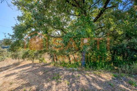 Helårsgrund i Fatima, Santarem, Fatima - € 150.000 | Ref: SAFTI:007221 - foto 24