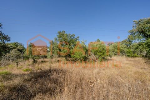 Helårsgrund i Fatima, Santarem, Fatima - € 150.000 | Ref: SAFTI:007221 - foto 26