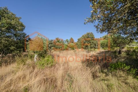 Helårsgrund i Fatima, Santarem, Fatima - € 150.000 | Ref: SAFTI:007221 - foto 27
