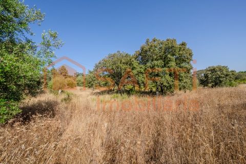 Helårsgrund i Fatima, Santarem, Fatima - € 150.000 | Ref: SAFTI:007221 - foto 28