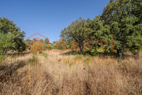 Helårsgrund i Fatima, Santarem, Fatima - € 150.000 | Ref: SAFTI:007221 - foto 29