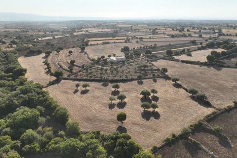 Landejendom i Modica, Ragusa, Modica - € 490.000 | Ref: L 2121 - foto 5