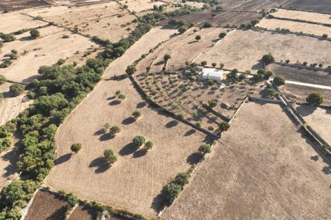 Landejendom i Modica, Ragusa, Modica - € 490.000 | Ref: L 2121 - foto 12