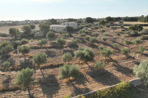 Landejendom i Modica, Ragusa, Modica - € 490.000 | Ref: L 2121 - foto 23