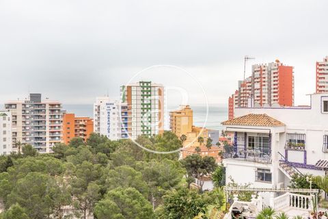 Villa in Cullera, Valencia, Cullera - € 600.000 | Ref: VV2102100 - foto 28
