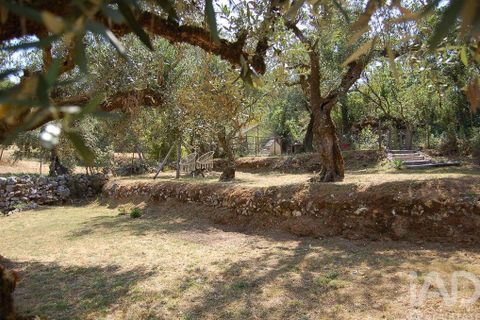 Byhus i Alvaiazere, Leiria, Alvaiazere - € 375.000 | Ref: 149604 - foto 23