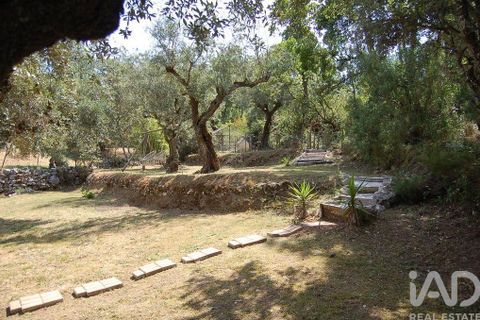 Byhus i Alvaiazere, Leiria, Alvaiazere - € 375.000 | Ref: 149604 - foto 24