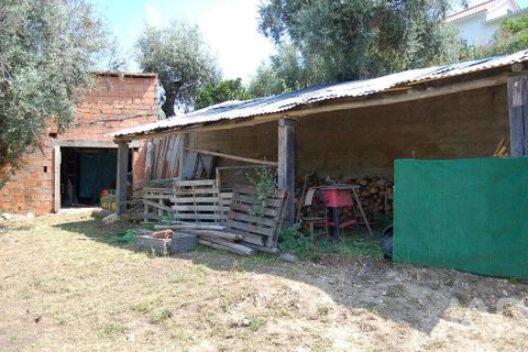 Byhus i Alvaiazere, Leiria, Alvaiazere - € 375.000 | Ref: 149604 - foto 28