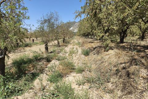 Terra a Durcal, Granada, Durcal - € 95.000 | Ref: 109368543 - foto 11