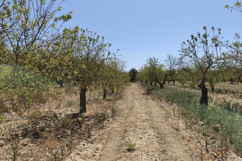 Terra a Durcal, Granada, Durcal - € 95.000 | Ref: 109368543 - foto 12