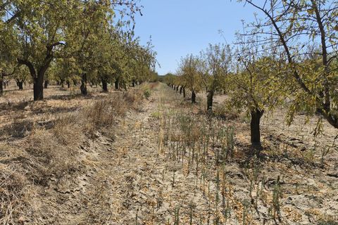 Terra a Durcal, Granada, Durcal - € 95.000 | Ref: 109368543 - foto 13