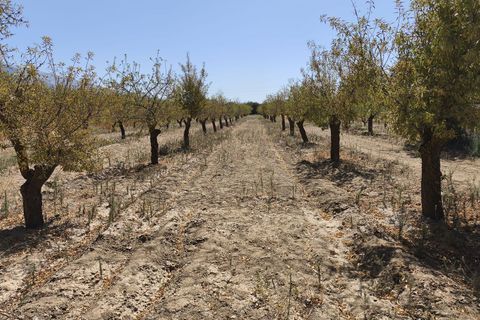Terra a Durcal, Granada, Durcal - € 95.000 | Ref: 109368543 - foto 14
