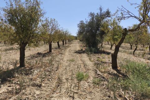 Terra a Durcal, Granada, Durcal - € 95.000 | Ref: 109368543 - foto 15