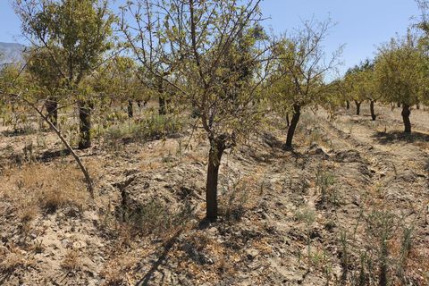 Terra a Durcal, Granada, Durcal - € 95.000 | Ref: 109368543 - foto 16