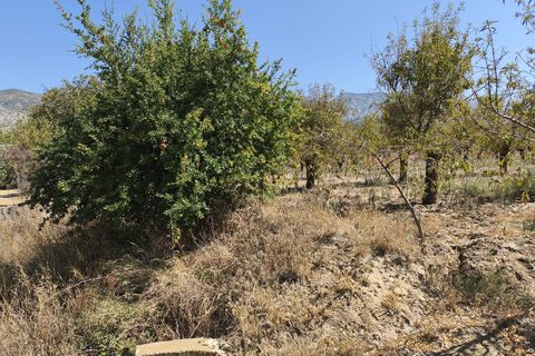 Terra a Durcal, Granada, Durcal - € 95.000 | Ref: 109368543 - foto 17