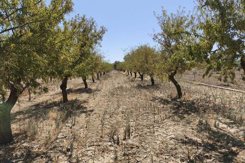Terra a Durcal, Granada, Durcal - € 95.000 | Ref: 109368543 - foto 18