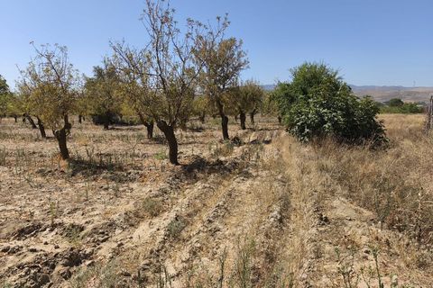 Terra a Durcal, Granada, Durcal - € 95.000 | Ref: 109368543 - foto 19