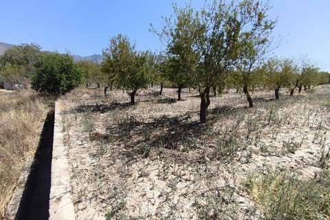 Terra a Durcal, Granada, Durcal - € 95.000 | Ref: 109368543 - foto 20