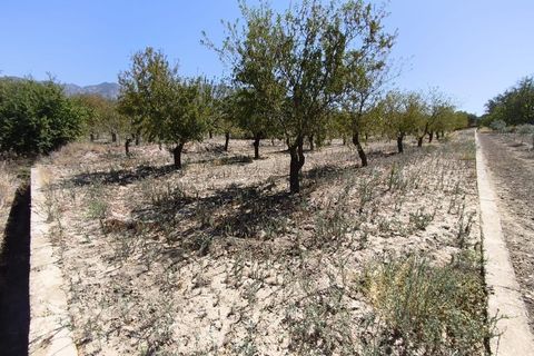 Terra a Durcal, Granada, Durcal - € 95.000 | Ref: 109368543 - foto 21