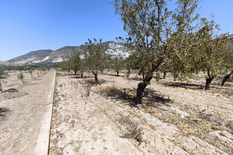 Terra a Durcal, Granada, Durcal - € 95.000 | Ref: 109368543 - foto 22