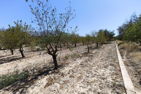 Terra a Durcal, Granada, Durcal - € 95.000 | Ref: 109368543 - foto 23