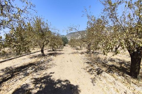 Terra a Durcal, Granada, Durcal - € 95.000 | Ref: 109368543 - foto 24
