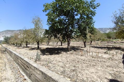 Terra a Durcal, Granada, Durcal - € 95.000 | Ref: 109368543 - foto 25