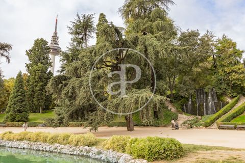 Lejlighed i Madrid, Madrid, Madrid - € 2.500.000 | Ref: ONM2411005-10 - foto 25