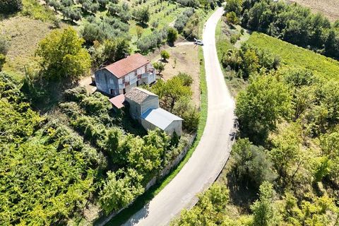 Farm hus i Ari, Chieti, Ari - € 72.000 | Ref: 2010-600904 - foto 4