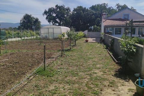 Byhus i Ansiao, Leiria, Ansiao - € 250.000 | Ref: 149533 - foto 4