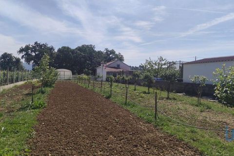 Byhus i Ansiao, Leiria, Ansiao - € 250.000 | Ref: 149533 - foto 6