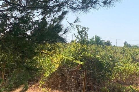 Terra a Palmela, Setubal, Palmela - € 260.000 | Ref: 149336 - foto 3