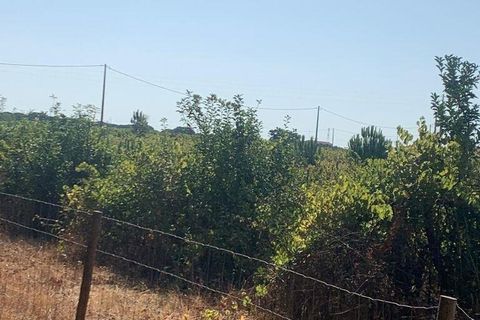 Terra a Palmela, Setubal, Palmela - € 260.000 | Ref: 149336 - foto 4