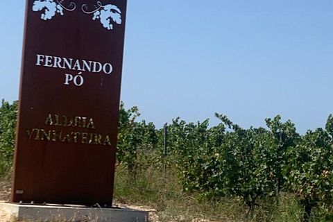 Terra a Palmela, Setubal, Palmela - € 260.000 | Ref: 149336 - foto 7