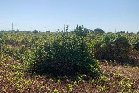 Terra a Palmela, Setubal, Palmela - € 260.000 | Ref: 149336 - foto 8