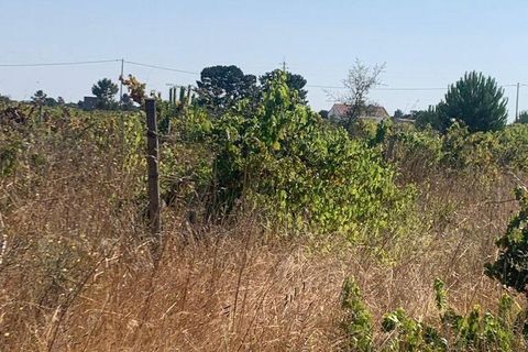 Terra a Palmela, Setubal, Palmela - € 260.000 | Ref: 149336 - foto 9