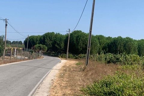 Terra a Palmela, Setubal, Palmela - € 260.000 | Ref: 149336 - foto 13