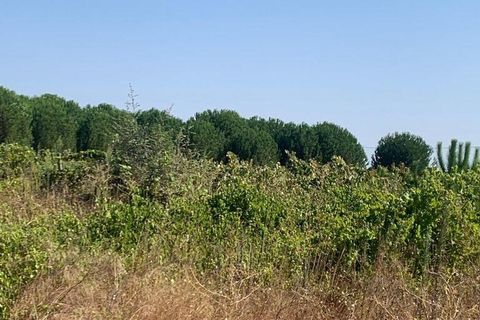 Terra a Palmela, Setubal, Palmela - € 260.000 | Ref: 149336 - foto 15