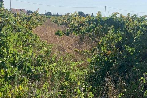 Terra a Palmela, Setubal, Palmela - € 260.000 | Ref: 149336 - foto 16